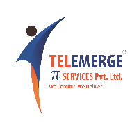 Telemerge IT Services Pvt Ltd_logo