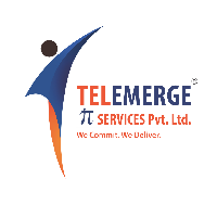 Telemerge IT Services Pvt Ltd