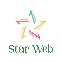 Star Web LLC_logo