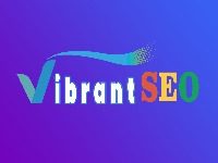 VibrantSEO_logo