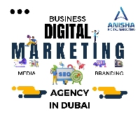 Anisha Digital Marketing_logo