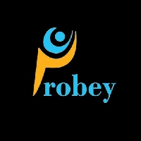 Probey Services_logo