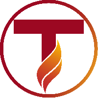 Tinasoft Vietnam_logo