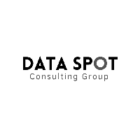 Dataspot Consulting Group_logo