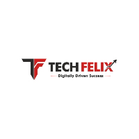 Tech Felix_logo